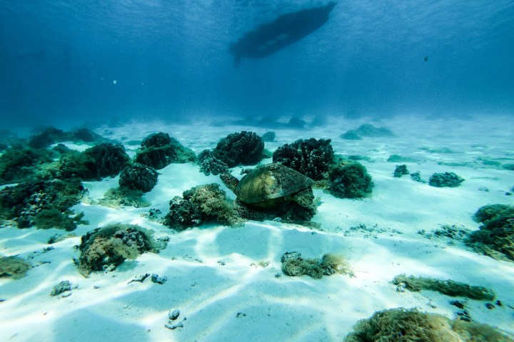 a large pool of water