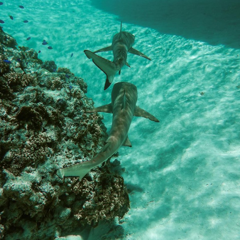 a person in a pool of water