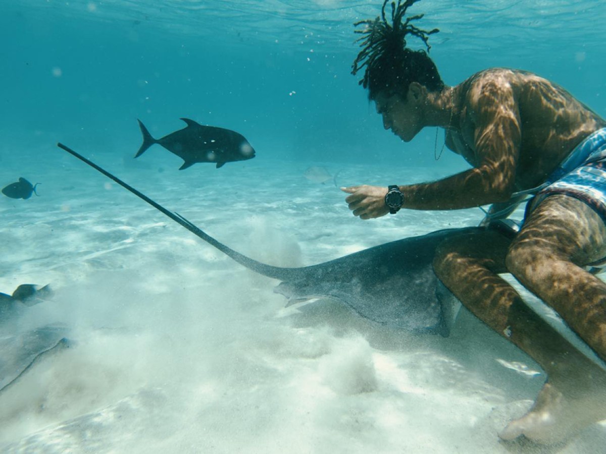 a man swimming in a body of water