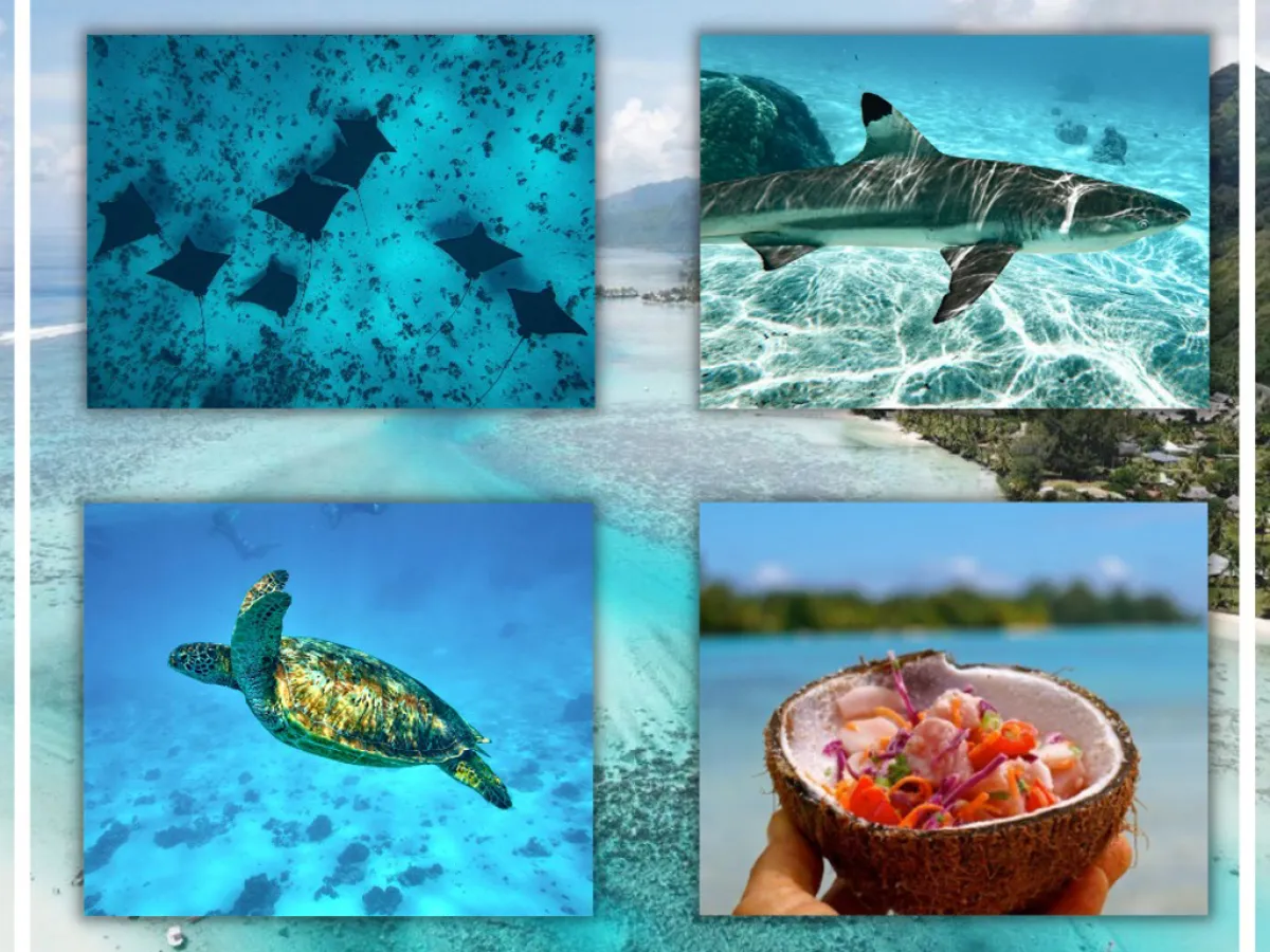 a screen shot of a bird