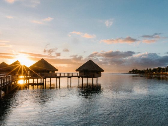 a close up of a pier next to a body of water