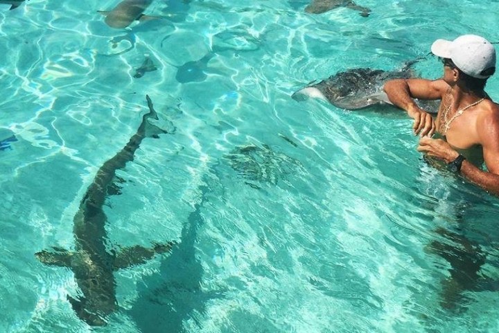 a person swimming in a pool of water