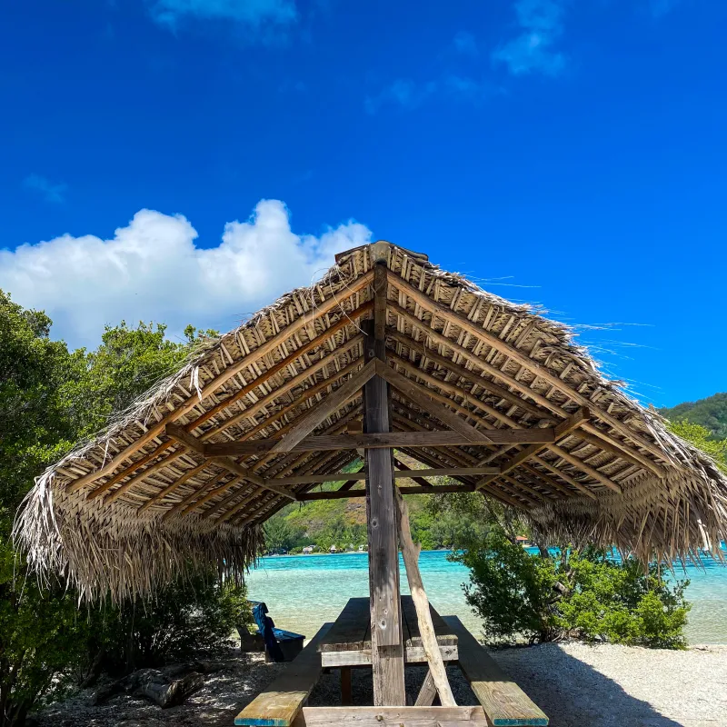 a wooden bench sitting in the sand